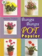 Bunga Bunga Pot Populer